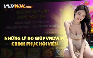 Những Lý Do Giúp Nhà Cái VNDWIN Chinh Phục Hội Viên