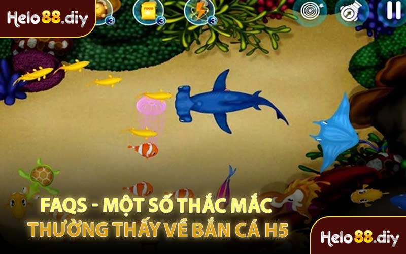 FAQs - Một Số Thắc Mắc Thường Thấy Về Bắn Cá H5