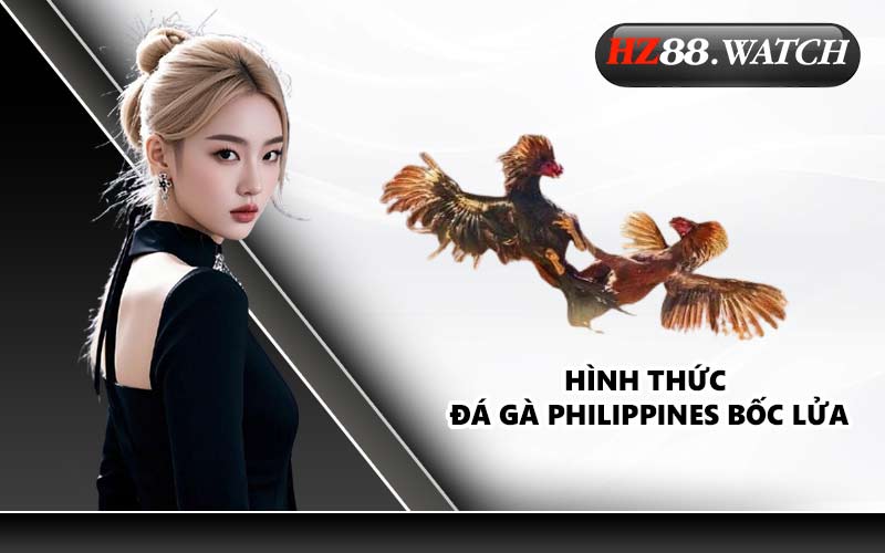 Hình thức đá gà Philippines bốc lửa