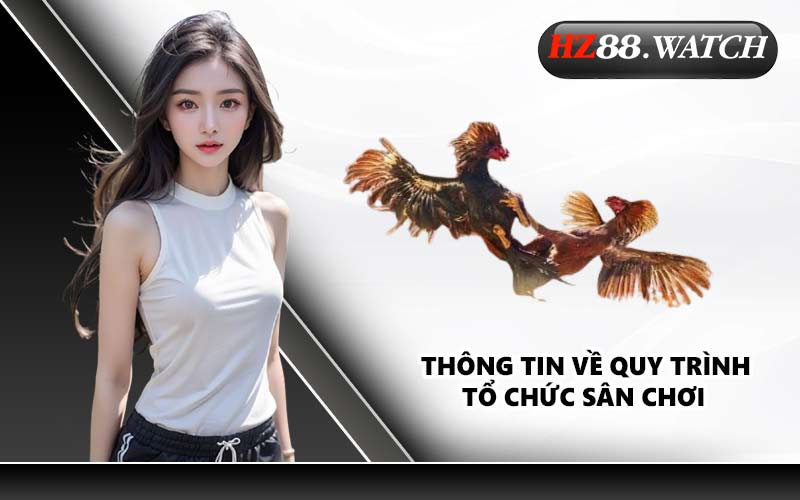 Thông tin về quy trình tổ chức sân chơi